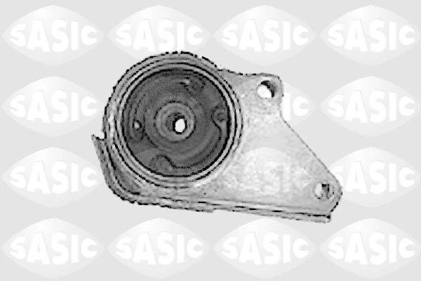 Mounting, engine