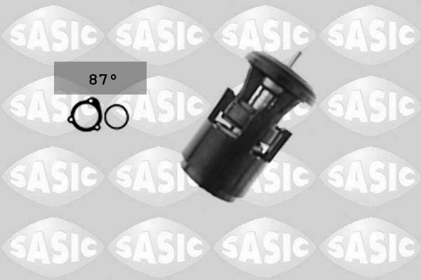 Thermostat, coolant