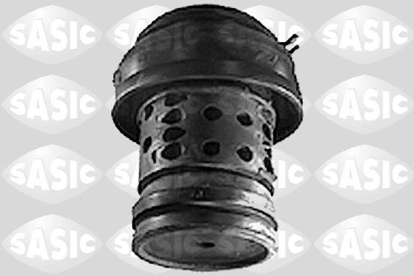 Mounting, engine