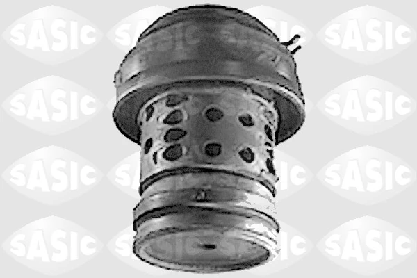 Mounting, engine
