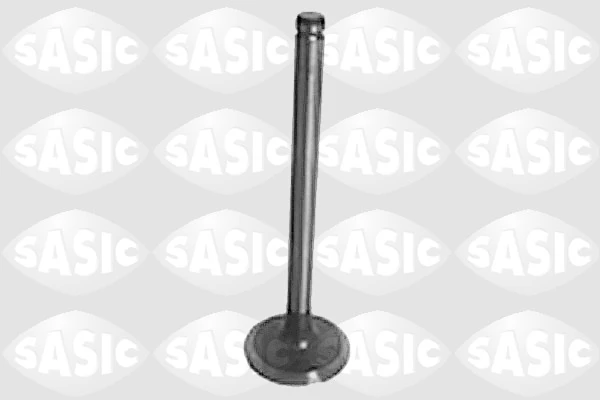 Intake Valve