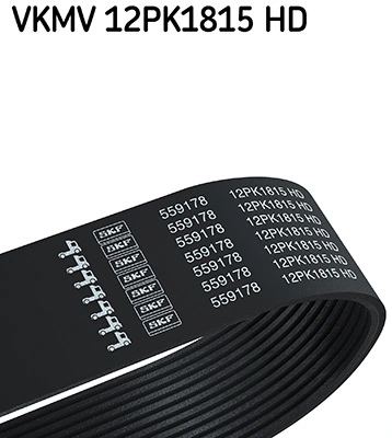 V-ribbed Belt