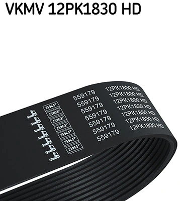 V-ribbed Belt