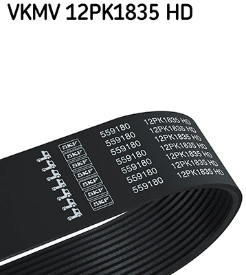 V-ribbed Belt
