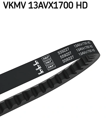 V-Belt