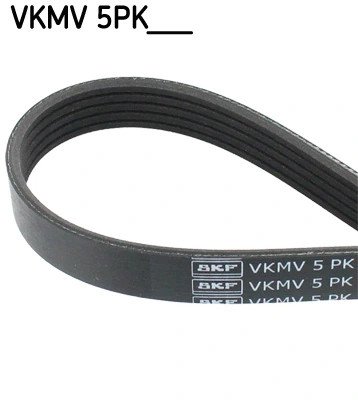 V-ribbed Belt