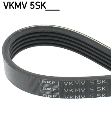 V-ribbed Belt