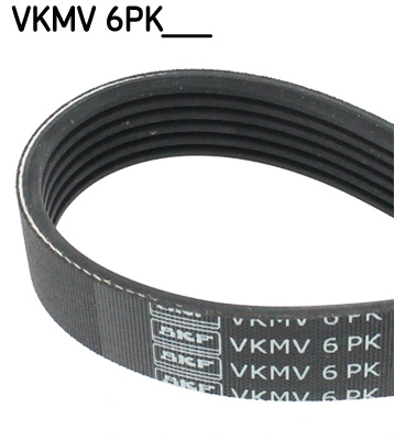 V-ribbed Belt