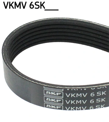 V-ribbed Belt