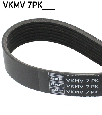 V-ribbed Belt