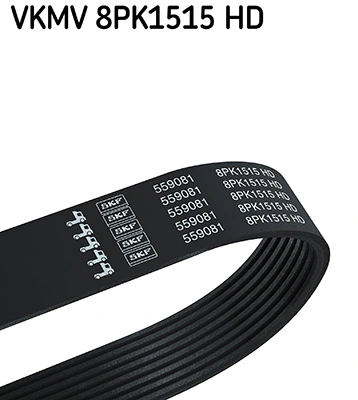 V-ribbed Belt
