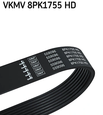 V-ribbed Belt