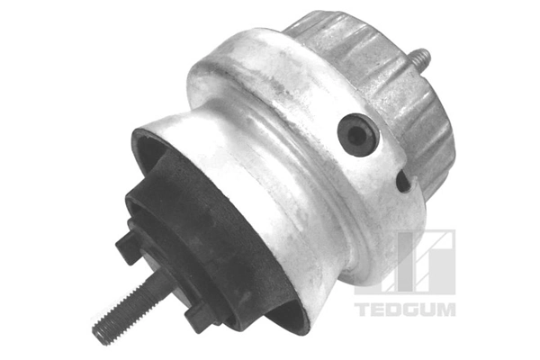 Mounting, engine