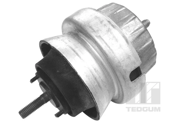 Mounting, engine