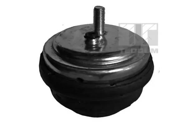 Mounting, engine