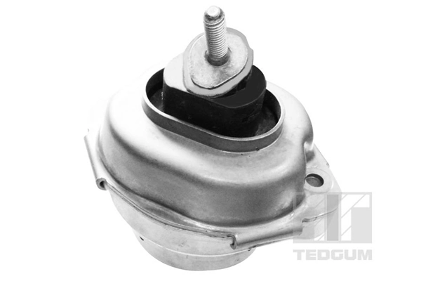 Mounting, engine