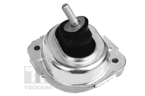 Mounting, engine