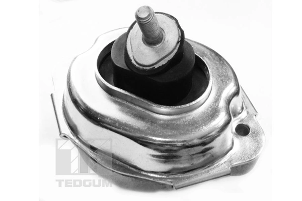 Mounting, engine