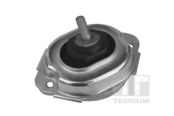 Mounting, engine