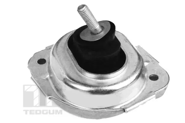 Mounting, engine