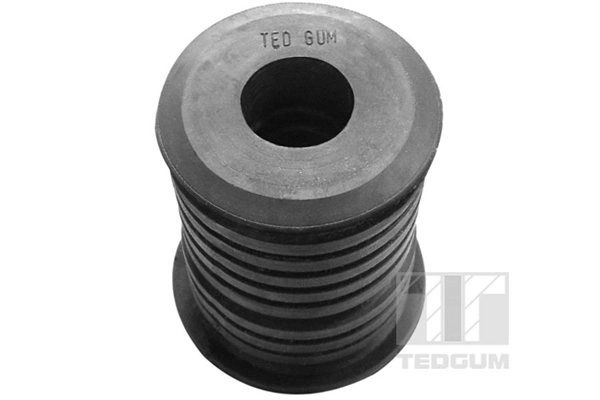 Mounting, control/trailing arm