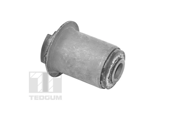 Mounting, control/trailing arm