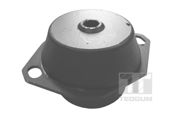 Mounting, engine