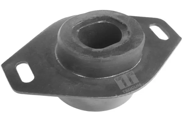 Mounting, engine