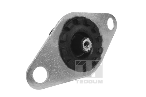 Mounting, engine