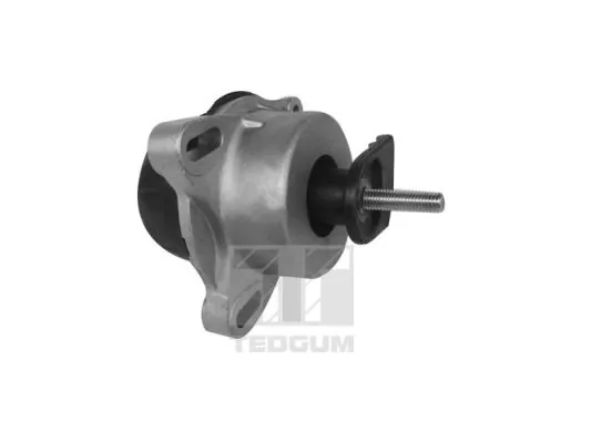 Mounting, engine