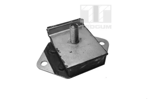 Mounting, engine
