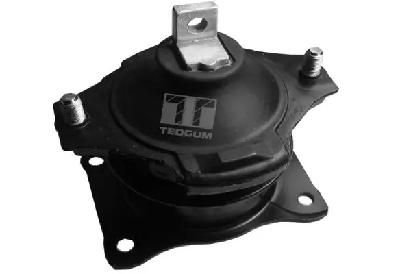 Mounting, engine