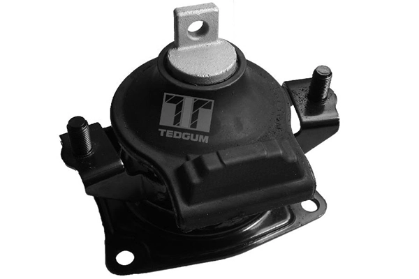 Mounting, engine