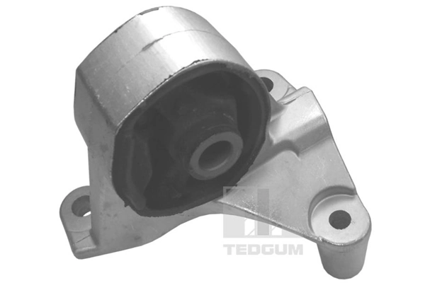 Mounting, engine