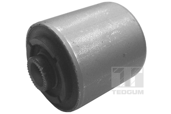 Mounting, control/trailing arm