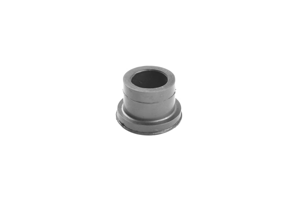 Mounting, leaf spring