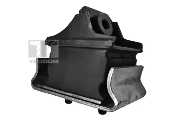 Mounting, engine