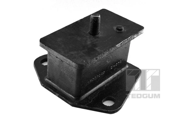 Mounting, engine