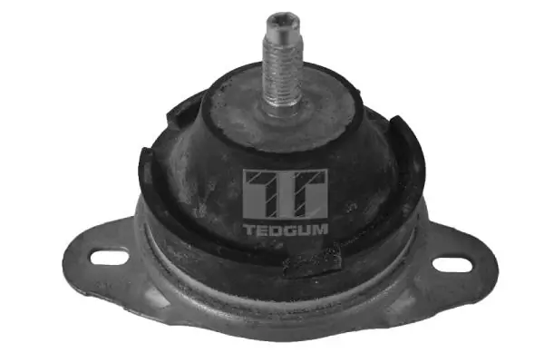 Mounting, engine