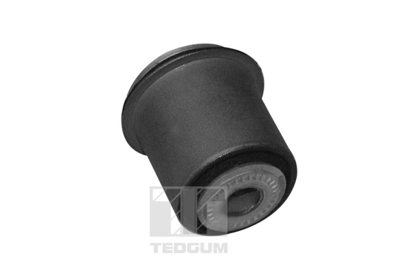 Mounting, control/trailing arm