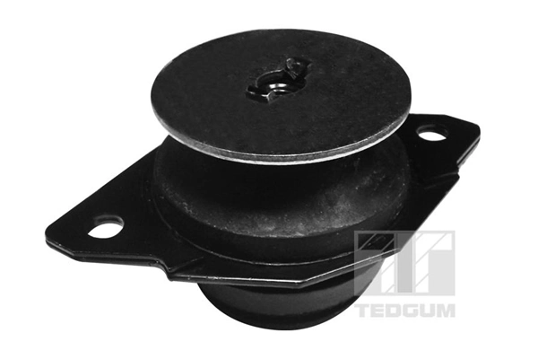 Mounting, manual transmission support
