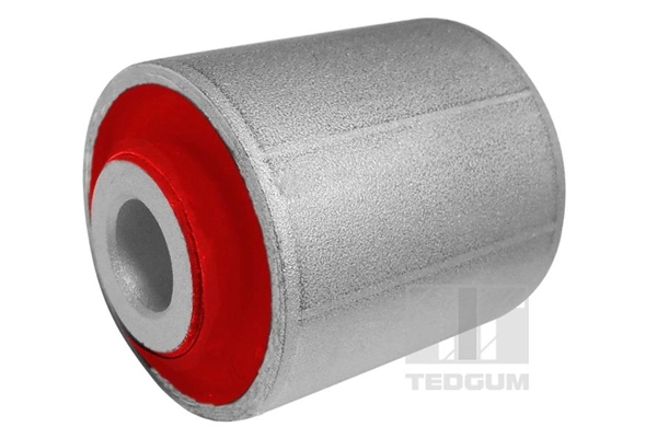 Mounting, control/trailing arm