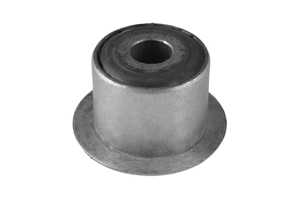 Mounting, leaf spring