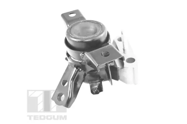 Mounting, engine