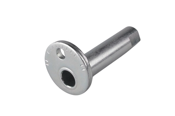 Camber Correction Screw