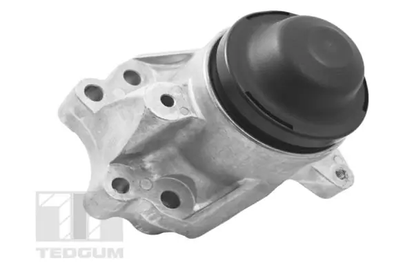 Mounting, engine
