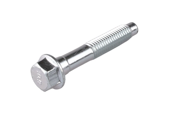 Screw