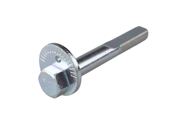 Camber Correction Screw