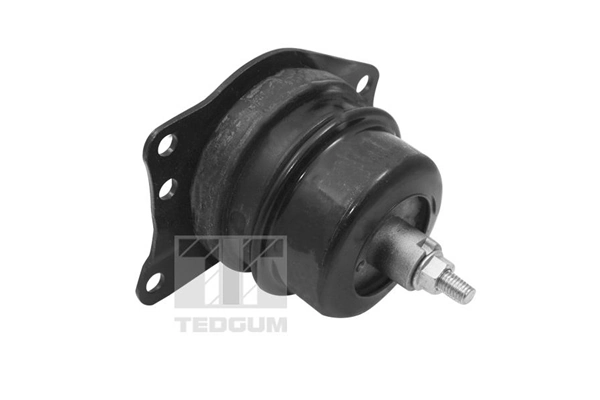 Mounting, engine