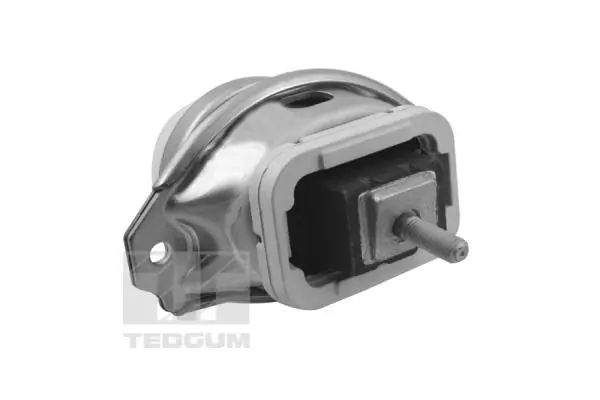 Mounting, engine
